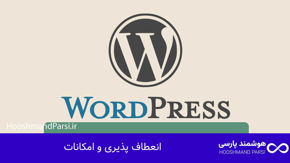 انعطاف پذیری و امکانات