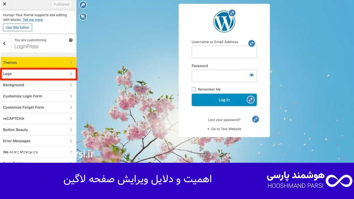 ویرایش صفحه لاگین وردپرس: 7 ترفند طلایی امنیت و برندینگ! اهمیت و دلایل ویرایش صفحه لاگین