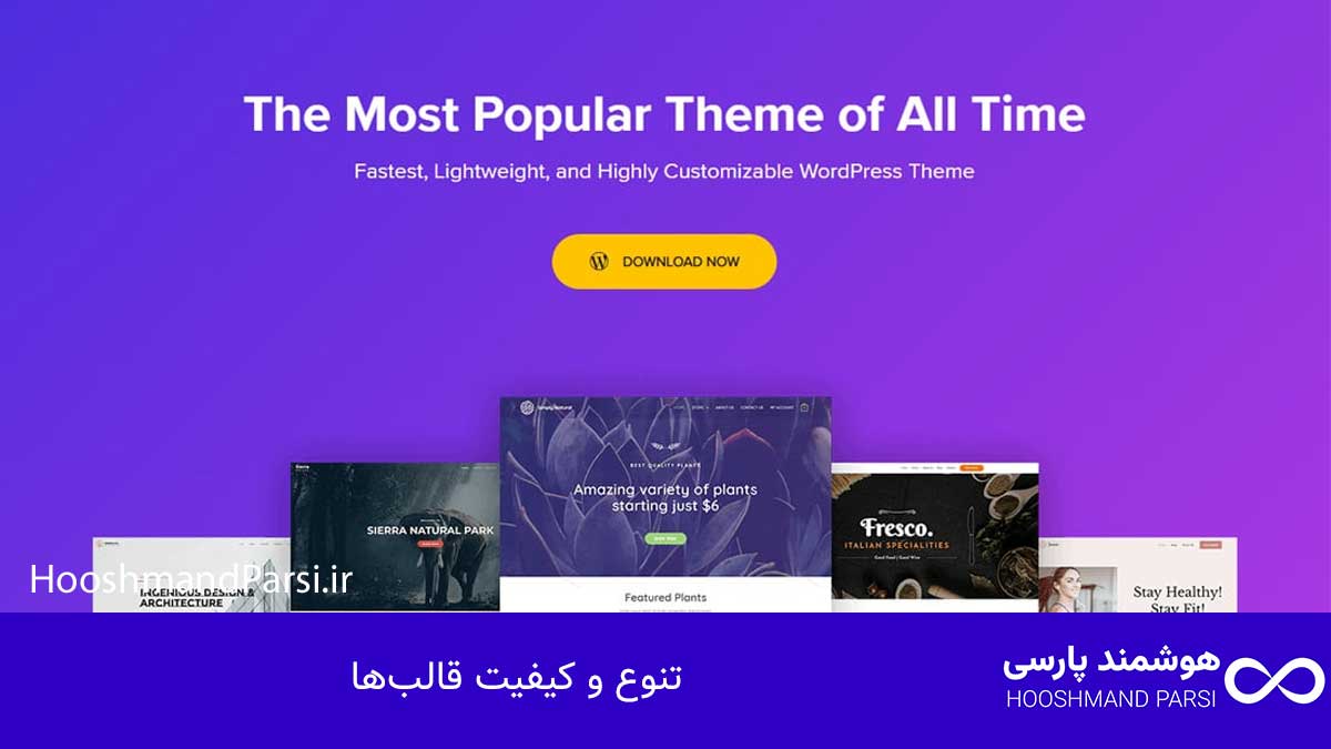 تنوع و کیفیت قالب‌ها