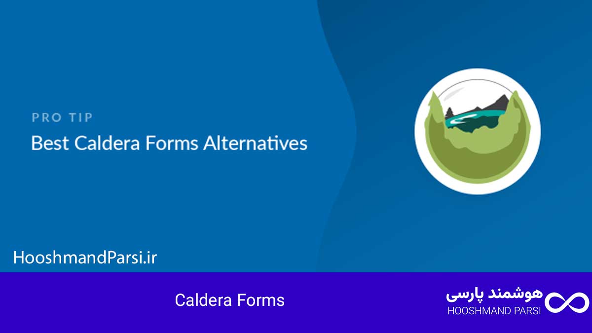 بهترین افزونه فرم ساز وردپرس: 7 انتخاب برتر برای رشد فروش! 6. افزونه Caldera Forms