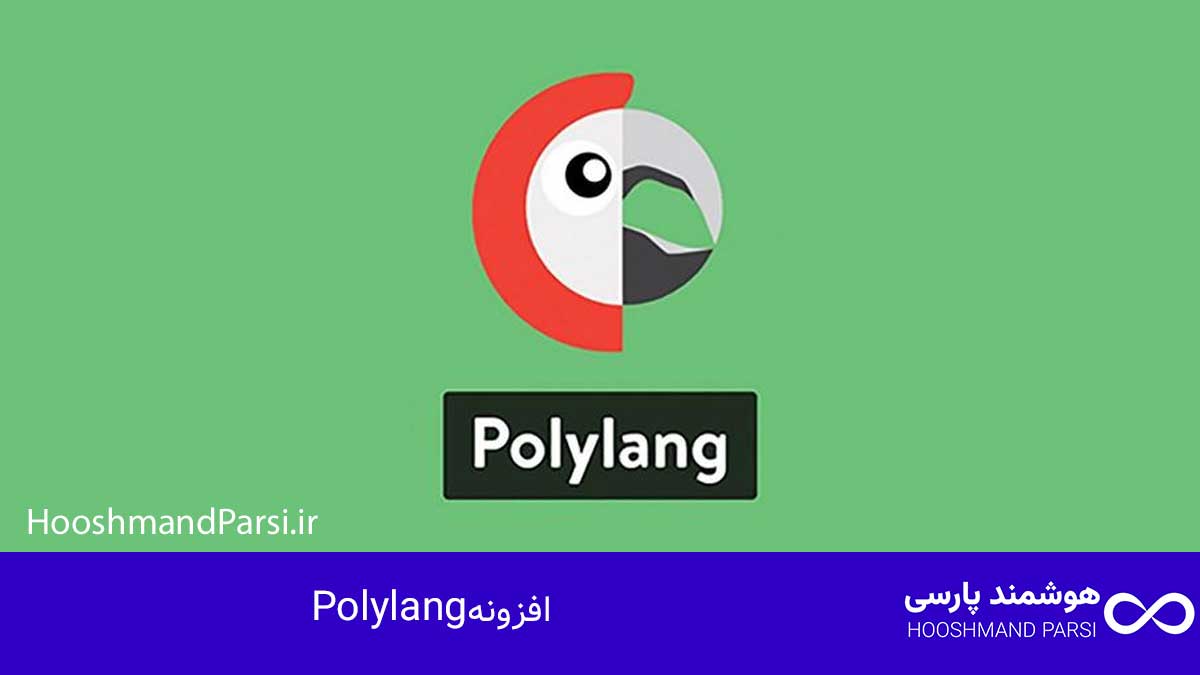 بهترین افزونه چند زبانه وردپرس؛ راهنمای خرید 7 افزونه برتر! افزونه Polylang